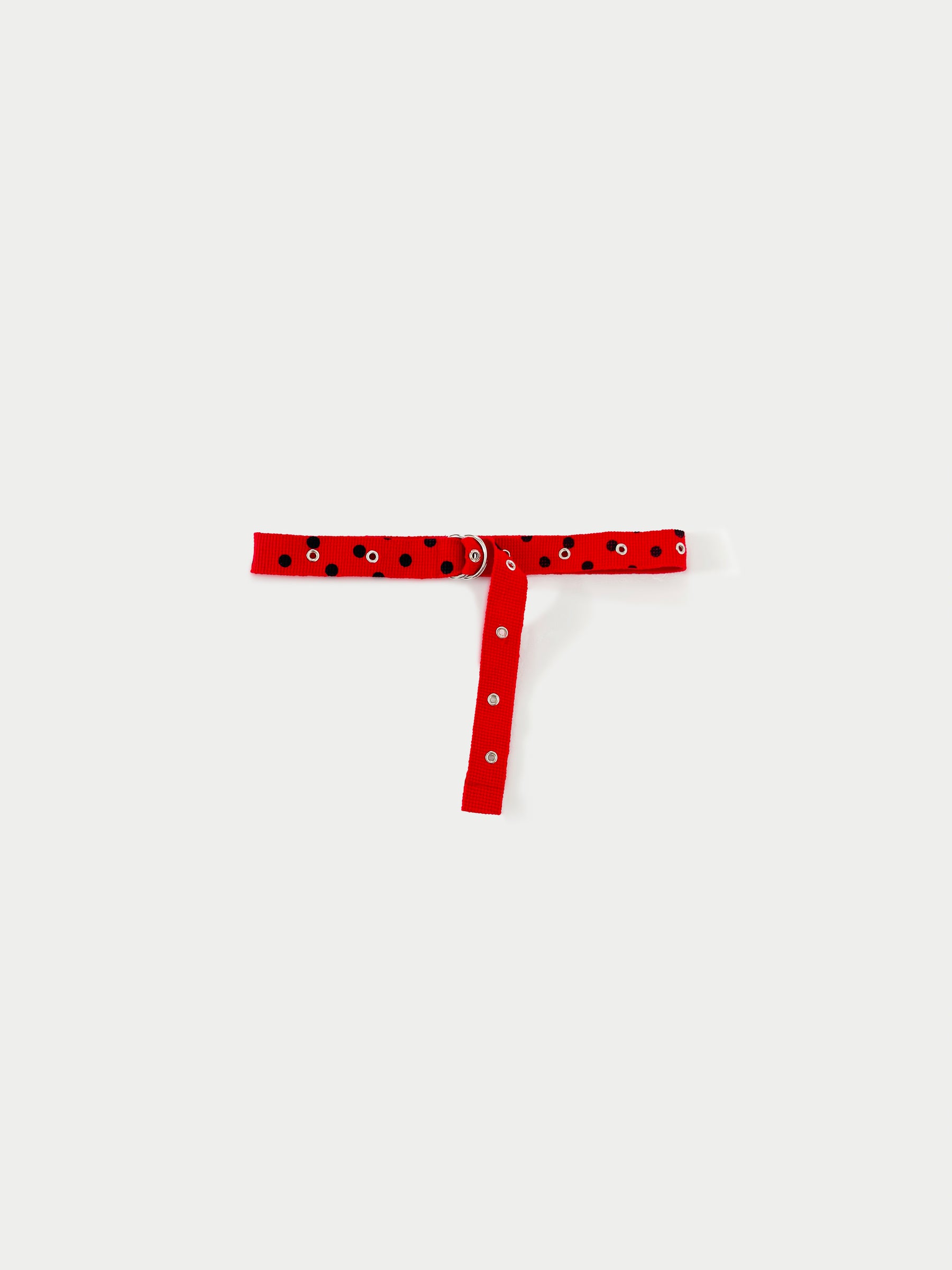 BENJAMIN Military Belt - Red / Black Dot