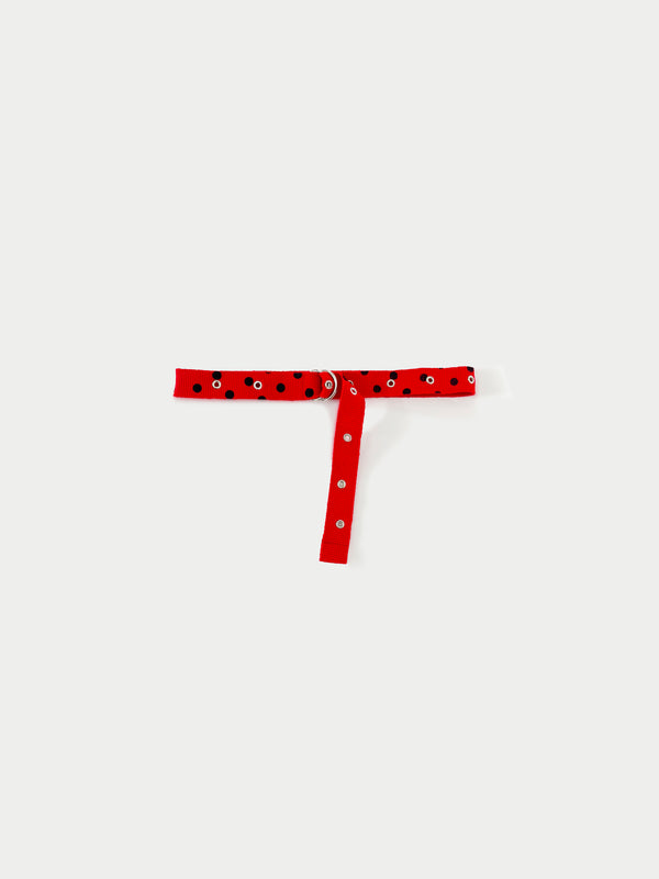 BENJAMIN Military Belt - Red / Black Dot