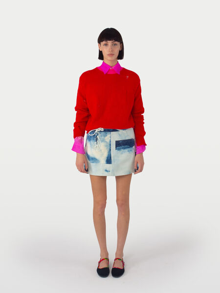 THELMA model view