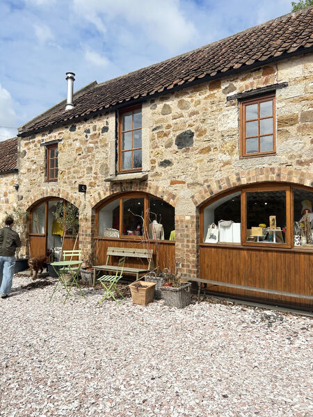 Discover the process